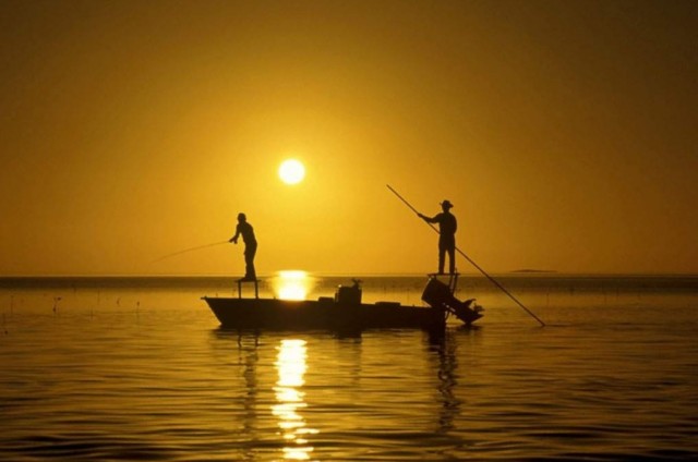 Estudo SOFIA/FAO aponta que o aumento na produção aquícola brasileira será o maior registrado da América Latina e Caribe, seguido por México (54,2%) e Argentina (53,9%), durante a próxima década. Foto: Divulgação Foto.Fot.Br